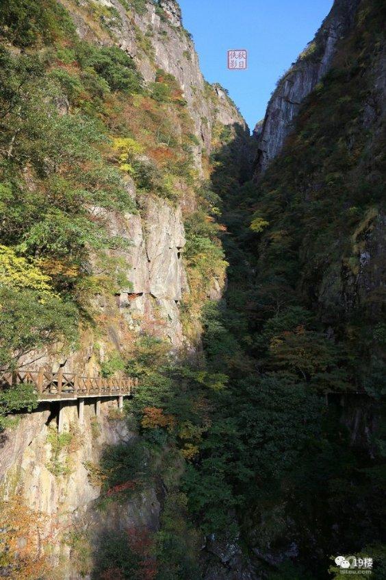 海王星VS僵尸军团