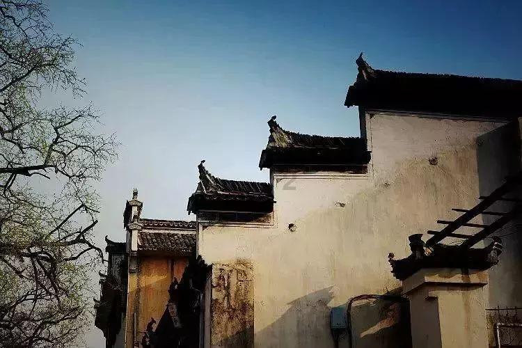 切开的南瓜怎么保存?教你一招,只要撒点它,保存一个月都不会